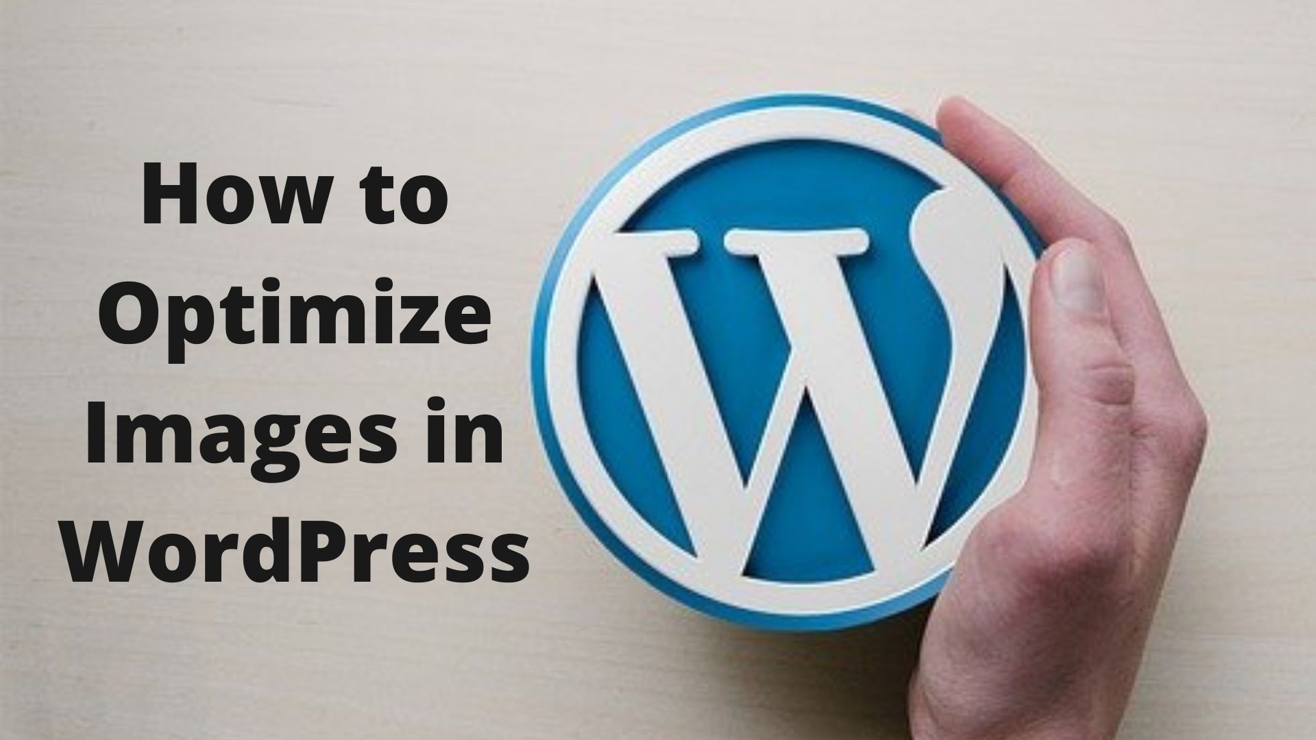 How to Optimize Images in WordPress