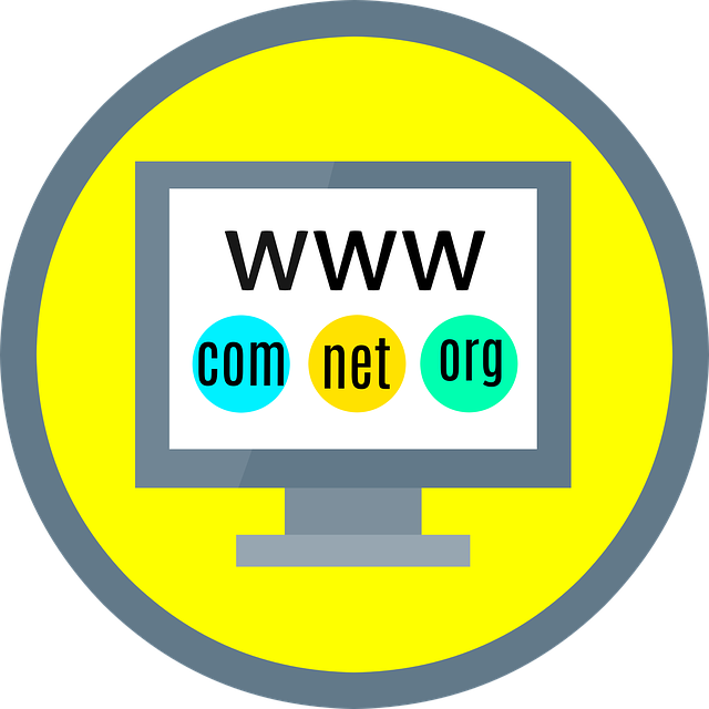What is domain authority